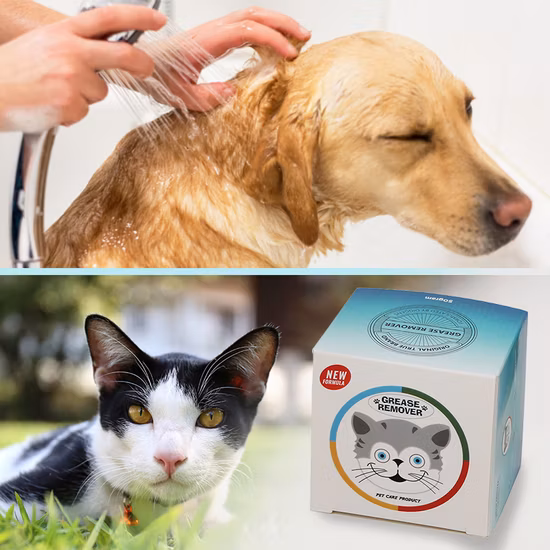 Hochwertiges Anti-Juckreiz-Entfettungs-Shampoo für Haustiere ab Werk