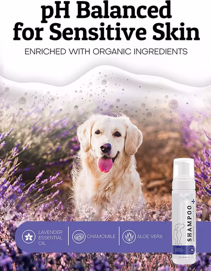 OEM wasserloses Hundeshampoo, natürliches Trockenshampoo für die Hundereinigung, Haustier-Badeshampoo