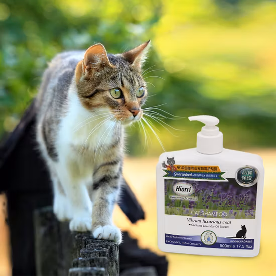 Pet Care Nourishing Repeal Fleas Fell Katzenshampoo