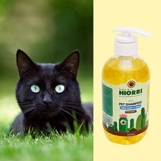 OEM-Service Hochwertiges, heiß verkauftes Soften Stop Itching Pet Shampoo