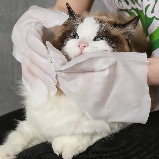 OEM Mund-Körper-Reinigungs-Entsorgungs-weiche Haustier-Handschuh-Pflege-Feuchttücher für Hunde